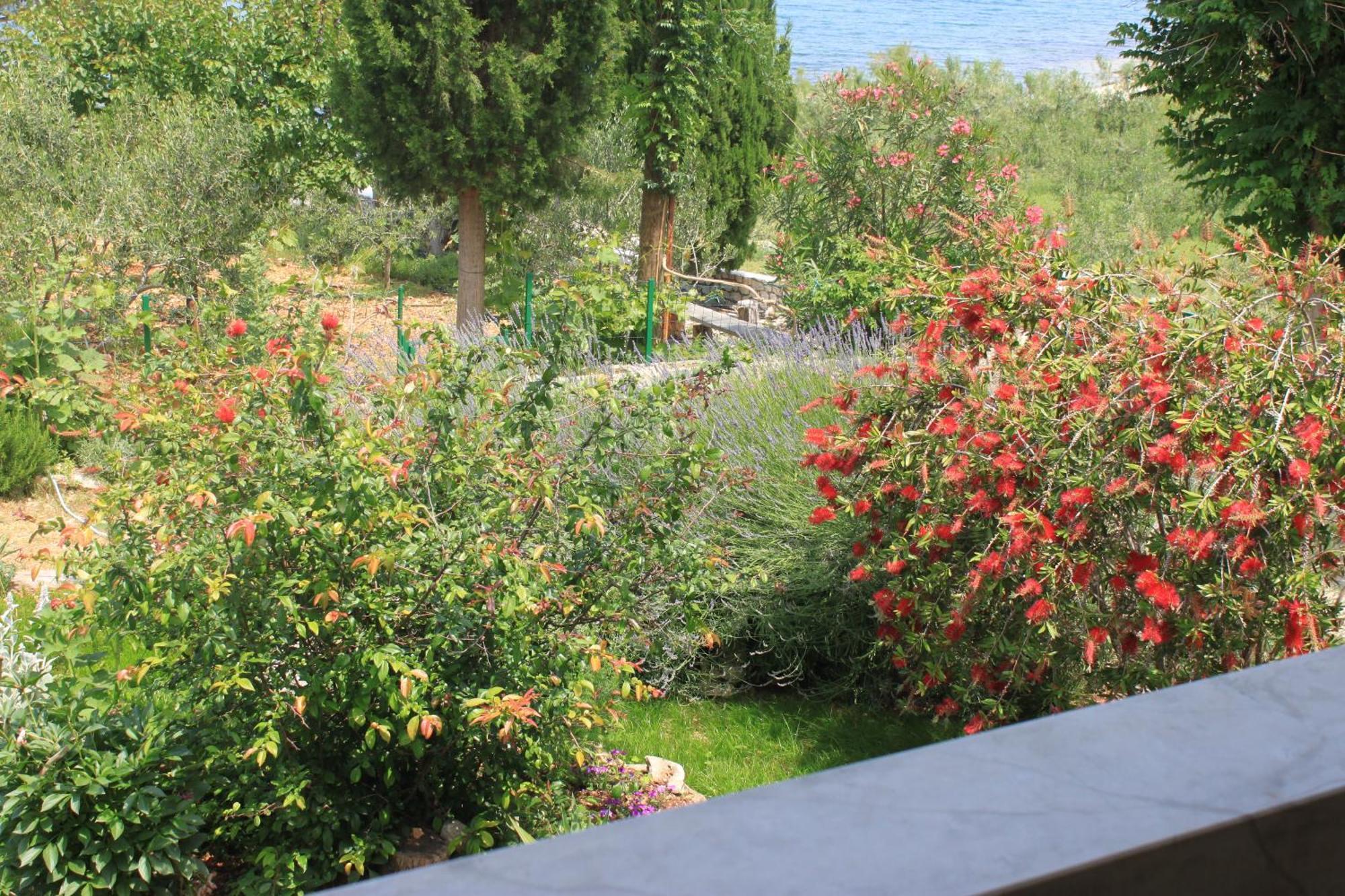 Oasis Apartments Sutivan Kültér fotó